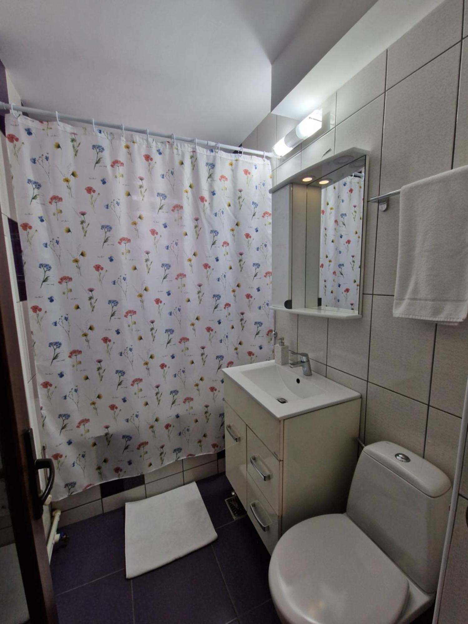 House Of Flowers Petroşani المظهر الخارجي الصورة